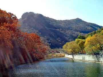 新澳门免费精准大全，水洗高岭土